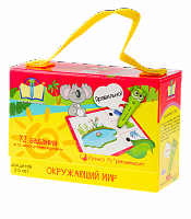 Набор обучающих карточек "Окружающий Мир" 